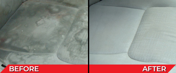 Interior Repairs: Carpet Dyeing and Repair; Leather, Vinyl, and Velour Repair; Plastic Repair; Button Graphic Replacement; Red Stain Removal; Odor Removal; Pet Hair Removal; Blind Stitch Repair; Headliner Repair; Heel Pad Replacement